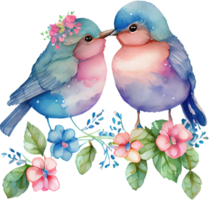 ljuv par älskar fåglar vattenfärg png