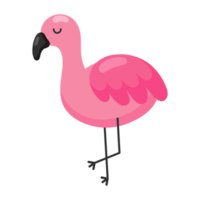 ícone do flamingo rosa. png