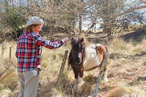 mujer que trabaja en el campo con ponis foto