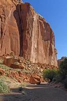 Red Rock Cliff Rising from the Canyon Floor photo