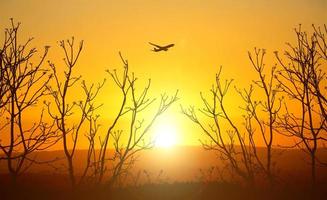 Vacation travel concept. Silhouette of a passenger plane flying in the sky photo