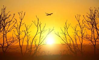 Vacation travel concept. Silhouette of a passenger plane flying in the sky photo