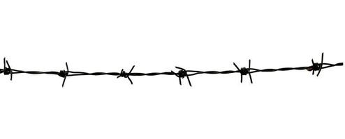 barbed wire isolated on white with clipping path photo