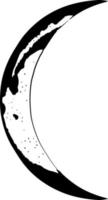 Moon phase illustration. vector