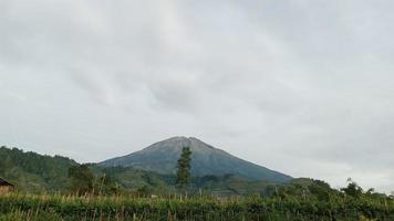 vista del paisaje del monte sumbing foto