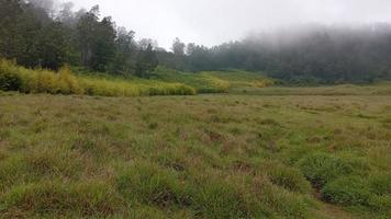 Dieng savanna landscape view photo