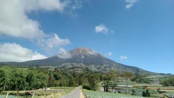 Mount sumbing landscape view photo