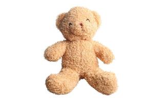 Brown teddy bear on white background.Isolated photo