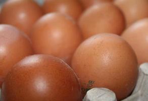 Chicken eggs in carton box isolated on white background. photo