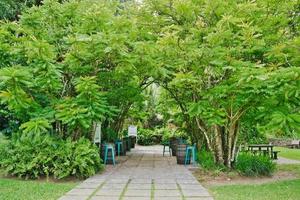 Garden outside the rum distillery, bilimbi trees, barrel are used for tables photo