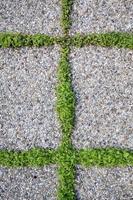 Pavement of rectangular stones and green grass between them. Textured background. Copy space. Top view. photo