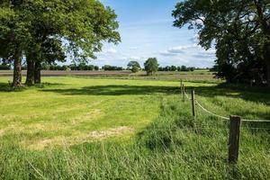 hermoso paisaje rural, en un día soleado de verano. agricultura. foto