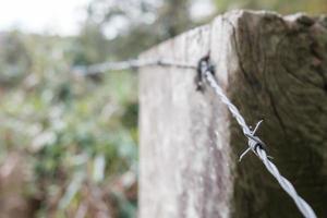 Barbed wire is attached with a rusty nail to an old log, against the backdrop of trees. Fence protects the passage to the private area. photo