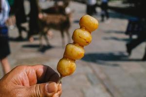 Hand holding Dango on light nature background. Enjoy eating Dango cover sweet soy sauce. Traditional Japanese street food.