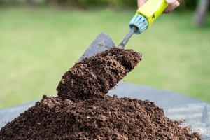 Hand holding peat moss organic matter improve soil for agriculture organic plant growing, ecology concept. photo