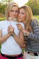 Two blonde with a dandelions photo