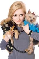 Portrait of lovely blonde with two dogs photo