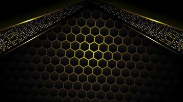 black and gold background vector