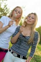 Two young blonde blowing on a dandelion. photo