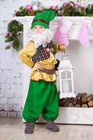 Little boy dressed like a gnome photo