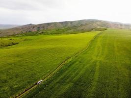 Disparo de drones que revela una vista panorámica Unidad de vehículos 4x4 al aire libre en un campo de pradera de hierba alta de gira en el parque nacional vashlovani. concepto de tours extremos en georgia, cáucaso. foto