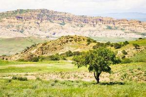 Stunning sharp edge cliffs in vashlovani national park area with beautiful colorful autumn trees and road photo