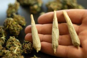 Joints with marijuana on hand palm close-up and cannabis on background photo