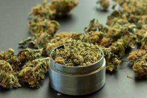 Grinder closeup with crumbled marijuana and cannabis buds in the background photo