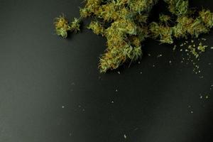 Cannabis Buds on black background with copy space photo