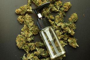 Cannabidiol oil on marijuana background, CBD medical use in healthcare. Cannabis buds top view photo