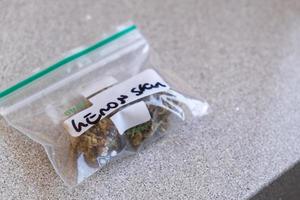 variedad de cannabis sativa en zip-lock foto