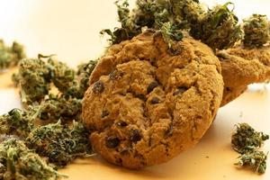 concepto de producto de cannabis, galleta de avena y primer plano de cogollos de marihuana. uso legal de hierba foto