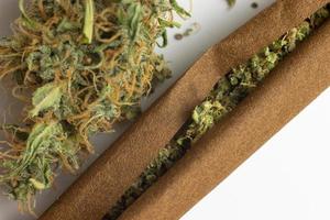 Cannabis in blunt roll and marijuana bud close-up photo