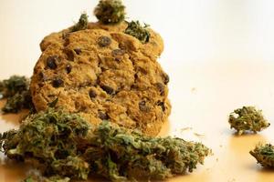 Marijuana bud and cookie with copy space, cannabis food thc product photo