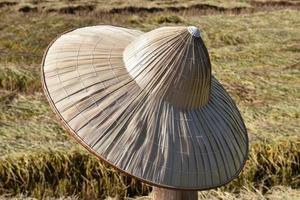 sombrero de hoja de palma aislado con caminos de recorte. foto