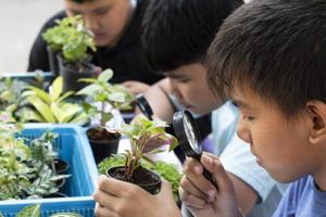 un grupo de jóvenes asiáticos sostiene una lupa y plantas en macetas y mira a través de la lente para estudiar especies de plantas y hacer proyectos, concepto de aprendizaje en el aula al aire libre, enfoque suave y selectivo. foto