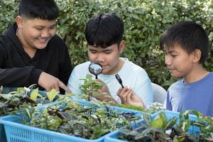 un grupo de jóvenes asiáticos sostiene una lupa y plantas en macetas y mira a través de la lente para estudiar especies de plantas y hacer proyectos, concepto de aprendizaje en el aula al aire libre, enfoque suave y selectivo. foto