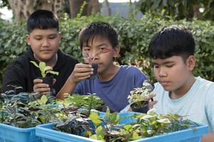 un grupo de jóvenes asiáticos sostiene una lupa y plantas en macetas y mira a través de la lente para estudiar especies de plantas y hacer proyectos, concepto de aprendizaje en el aula al aire libre, enfoque suave y selectivo. foto