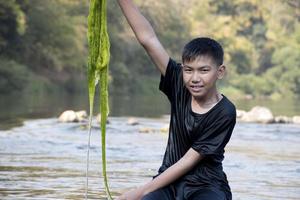 Asian schoolboy holding freshwater algae from diving into the river and pulling it up to study the fertility of the river's nature and including to do freshwater algae in his environment project work. photo