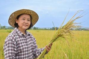 el retrato de una anciana agricultora asiática sostiene un ramo de arroz y se para felizmente cerca de su campo de arroz. vida sana y vida feliz después del concepto de jubilación. foto