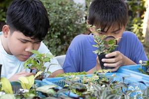 un grupo de jóvenes asiáticos sostiene una lupa y plantas en macetas y mira a través de la lente para estudiar especies de plantas y hacer proyectos, concepto de aprendizaje en el aula al aire libre, enfoque suave y selectivo. foto