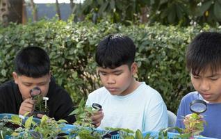 un grupo de jóvenes asiáticos sostiene una lupa y plantas en macetas y mira a través de la lente para estudiar especies de plantas y hacer proyectos, concepto de aprendizaje en el aula al aire libre, enfoque suave y selectivo.