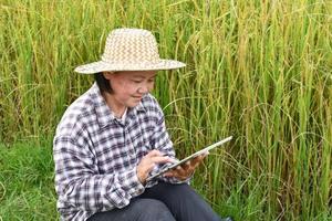 Portrait of elderly asian woman wears palm leaf hat and plaid shirt and holding and using tablet by the yellow rice paddy field, soft and selective focus, happy farmer and technology concept. photo