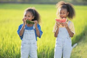 Black skinned cute little girl eating watermelon outdoors green rice field backdrop African child eating watermelon photo