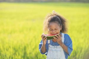 Black skinned cute little girl eating watermelon outdoors green rice field backdrop African child eating watermelon photo