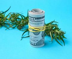 banknotes of american dollars and green leaf of hemp on a blue background photo