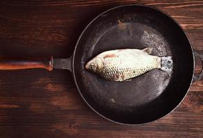 Fresh carp fish in a black cast-iron frying pan photo
