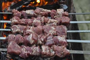 fresh meat marinated with onions and spices for barbecue photo