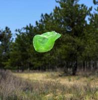 bolsa de basura verde vacía vuela contra el fondo de pinos verdes foto