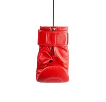 leather red right boxing glove hanging on a cord photo